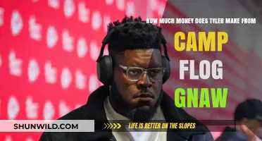 Tyler, The Creator's Earnings: Camp Flog Gnaw Revenue Revealed