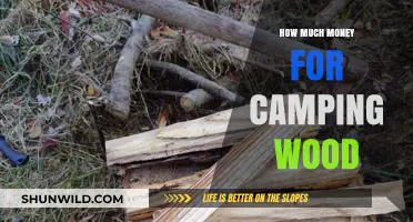 Budget-Friendly Camping: How Much to Spend on Firewood