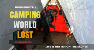 Camping World's Financial Struggles: Analyzing the Company's Recent Losses