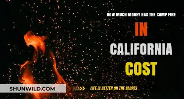 The Devastating Financial Impact of California's Camp Fire Disaster