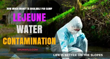 Camp Lejeune Water Contamination: Unveiling the Financial Compensation Available