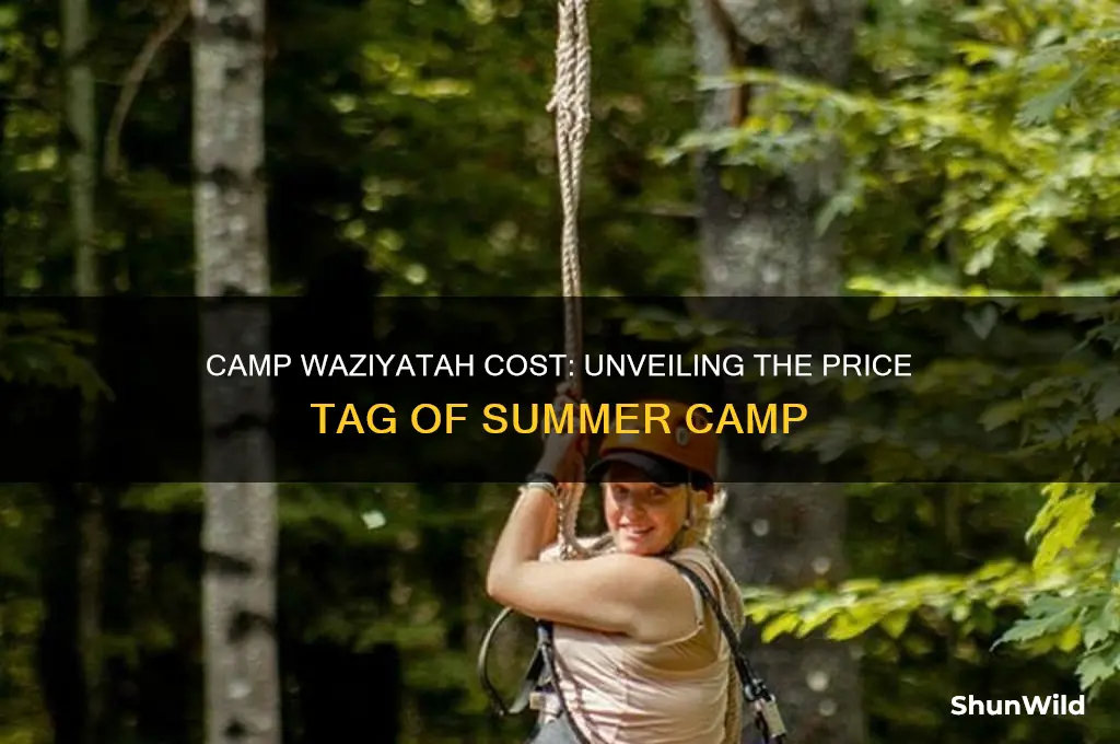 how much money is camp waziyatah