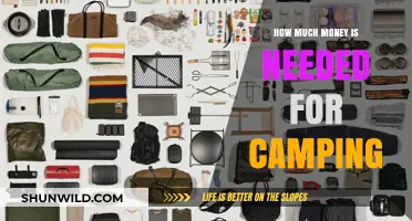 Budgeting for the Great Outdoors: Essential Camping Costs Revealed