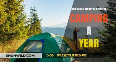 Annual Camping Expenditures: Uncovering the Yearly Costs of Outdoor Adventures