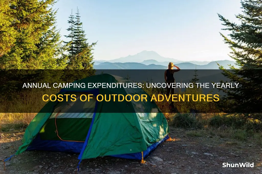 how much money is spent on camping a year
