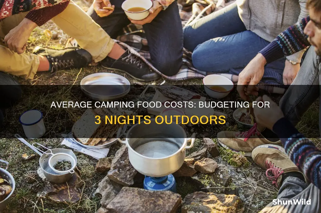 how much money on average spent food 3 nights camping