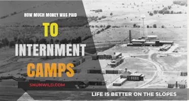 Uncovering the Financial Costs of Internment Camps: A Historical Analysis