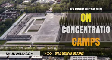 The Hidden Costs of Concentration Camps: A Financial Analysis
