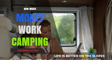 Work Camping Income: How Much Can You Earn on the Road?