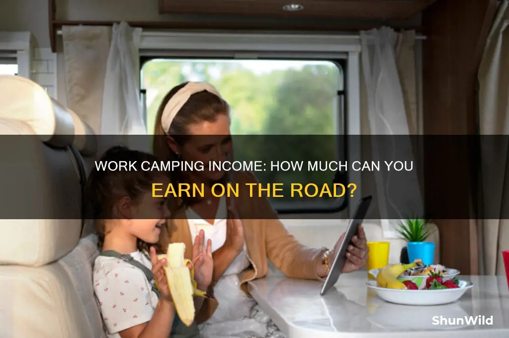 how much money work camping