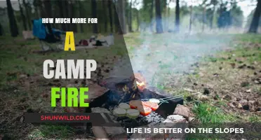 Campfire Costs: Budgeting for a Cozy Outdoor Experience