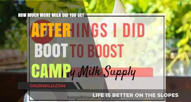 Boosting Milk Supply: Post-Boot Camp Results and Success Stories