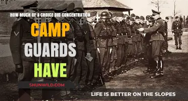 Guilt, Duty, or Choice: The Complex Role of Concentration Camp Guards