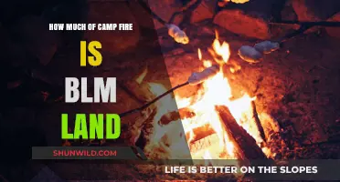 Exploring BLM Land Involvement in the Camp Fire Disaster