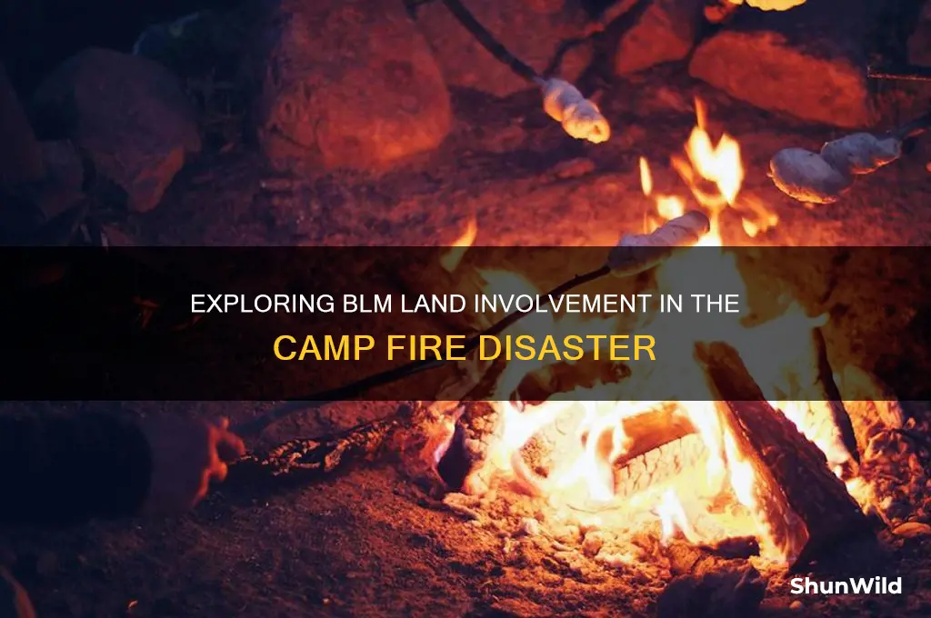 how much of camp fire is blm land