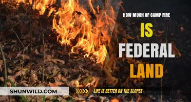 Camp Fire's Federal Land Impact: Uncovering the Extent of Ownership
