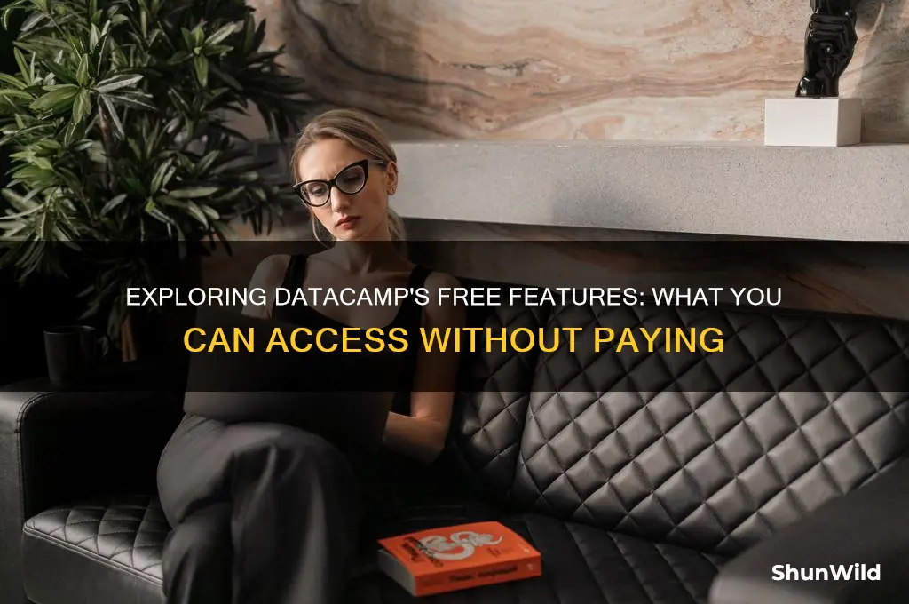 how much of data camp is free