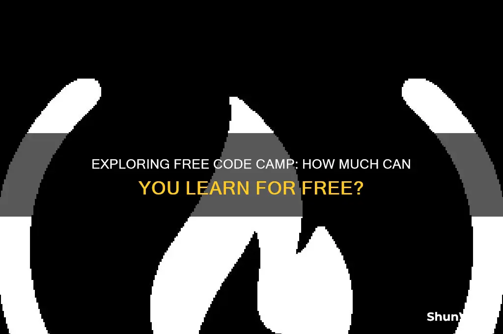 how much of free code camp
