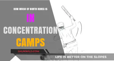 Unveiling North Korea's Hidden Camps: Scale and Human Rights Crisis