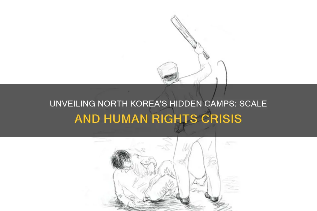 how much of north korea is in concentration camps