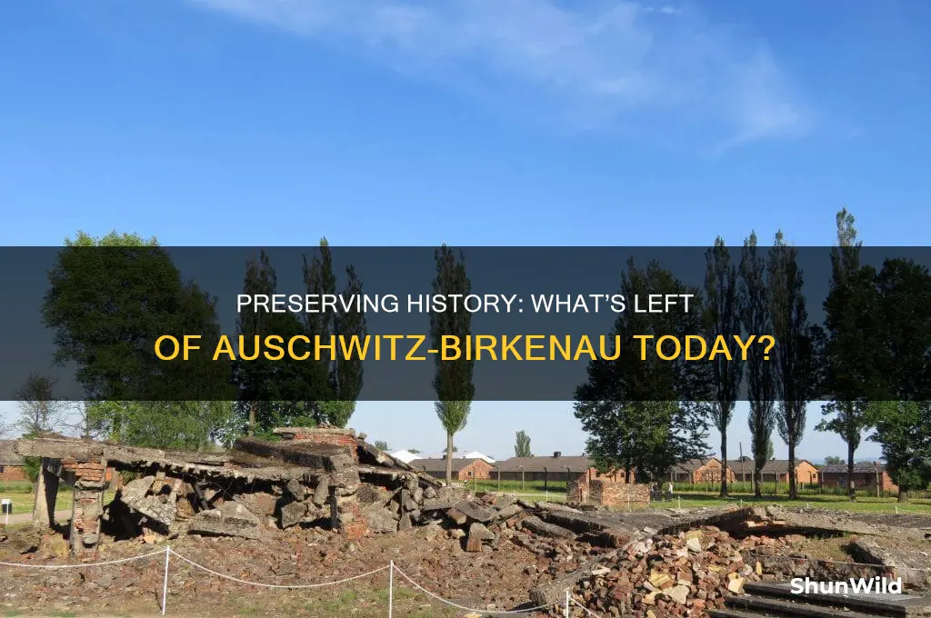 how much of the original auschwitz birkenau camp remains