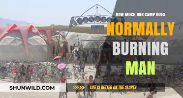 Understanding the Average Cost of Burning Man Camp Dues
