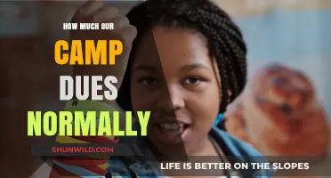 Understanding the Average Cost of Camp Dues for Families