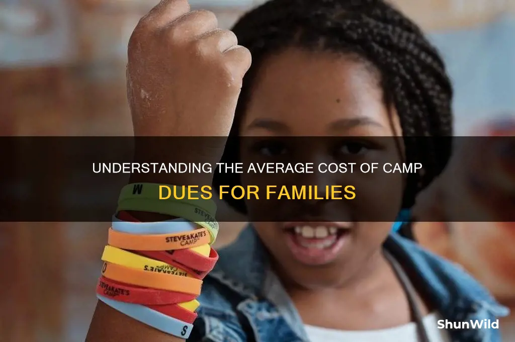 how much our camp dues normally
