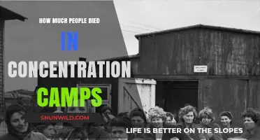 Unimaginable Loss: Concentration Camp Deaths and Their Historical Impact