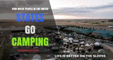 Exploring the Popularity of Camping Among Americans: Trends and Insights