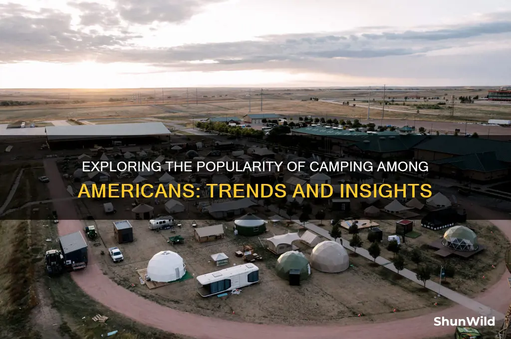 how much people in the united states go camping
