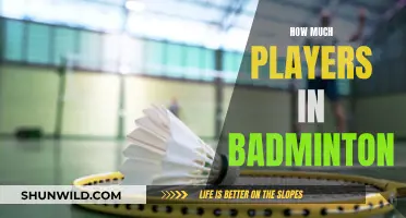 Badminton Basics: How Many Players Per Side?