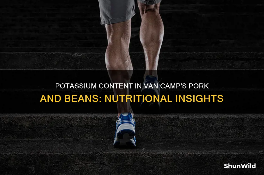 how much potassium in van camp