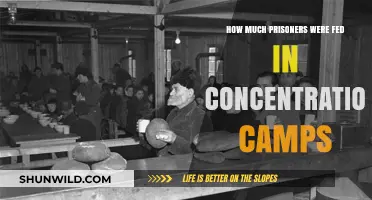 Starvation in Concentration Camps: The Brutal Reality of Prisoner Rations