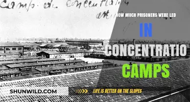 Unveiling the Devastating Toll of Concentration Camp Prisoners