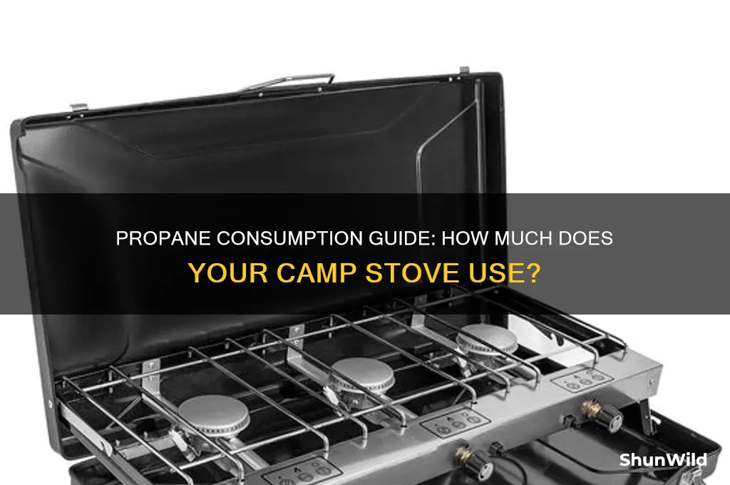 how much propane does a camp stove use