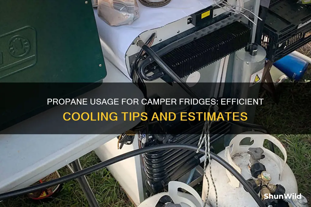 how much propane does camper fridge use