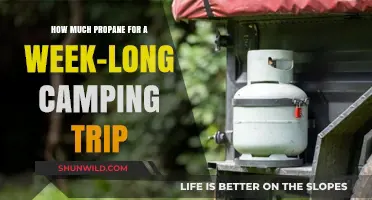 Planning Propane Usage: A Week-Long Camping Trip Guide