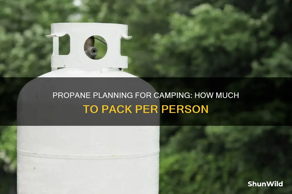 how much propane to bring camping per person