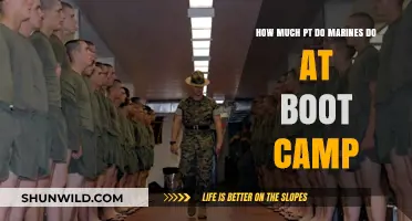 Marine Boot Camp Physical Training: Intensity, Frequency, and Expectations