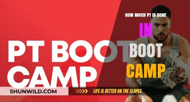 Boot Camp Physical Training: Intensity, Frequency, and What to Expect