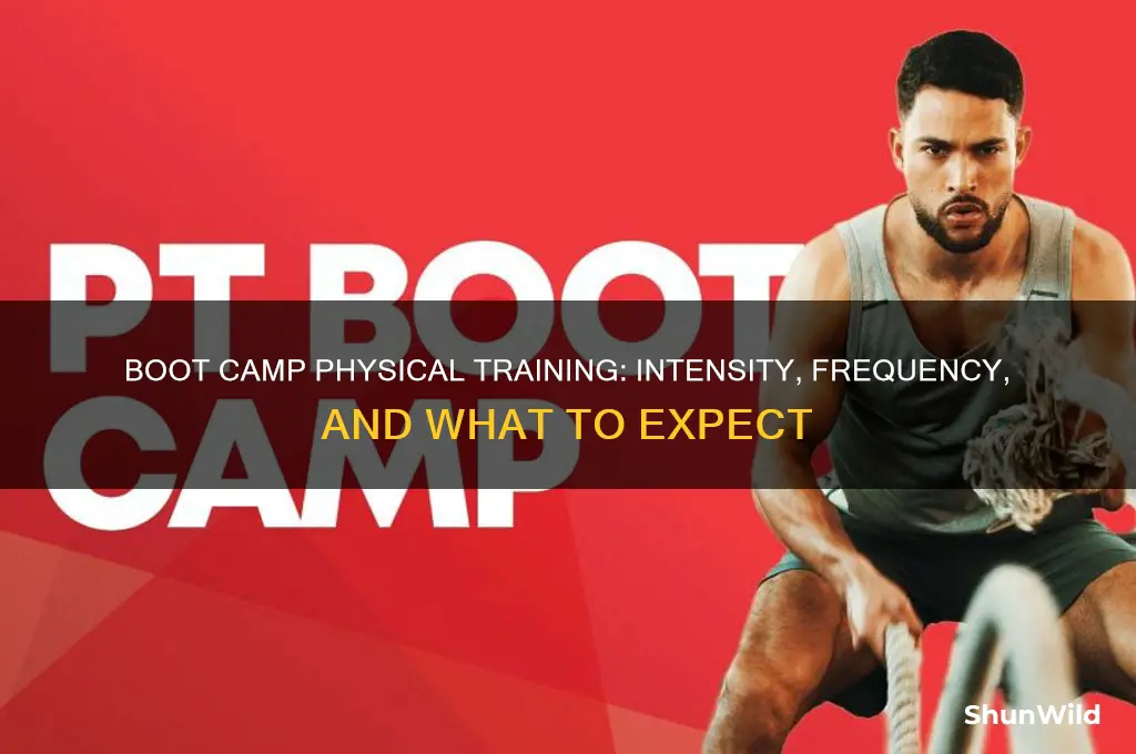 how much pt is done in boot camp