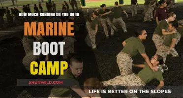 Marine Boot Camp Running: How Much Do Recruits Actually Run?