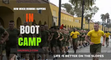 Running in Boot Camp: How Much is Too Much?