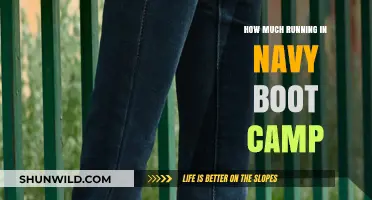 Navy Boot Camp Running Requirements: What to Expect and How to Prepare