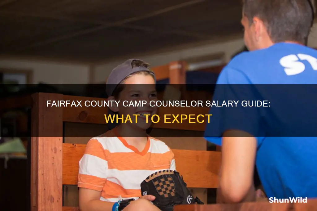 how much salary to be camp counselor in fairfax county