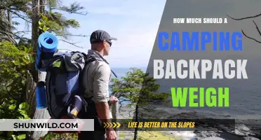 Optimal Camping Backpack Weight: Balancing Comfort and Necessity