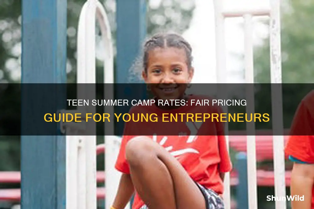 how much should a teenager charge for a summer camp