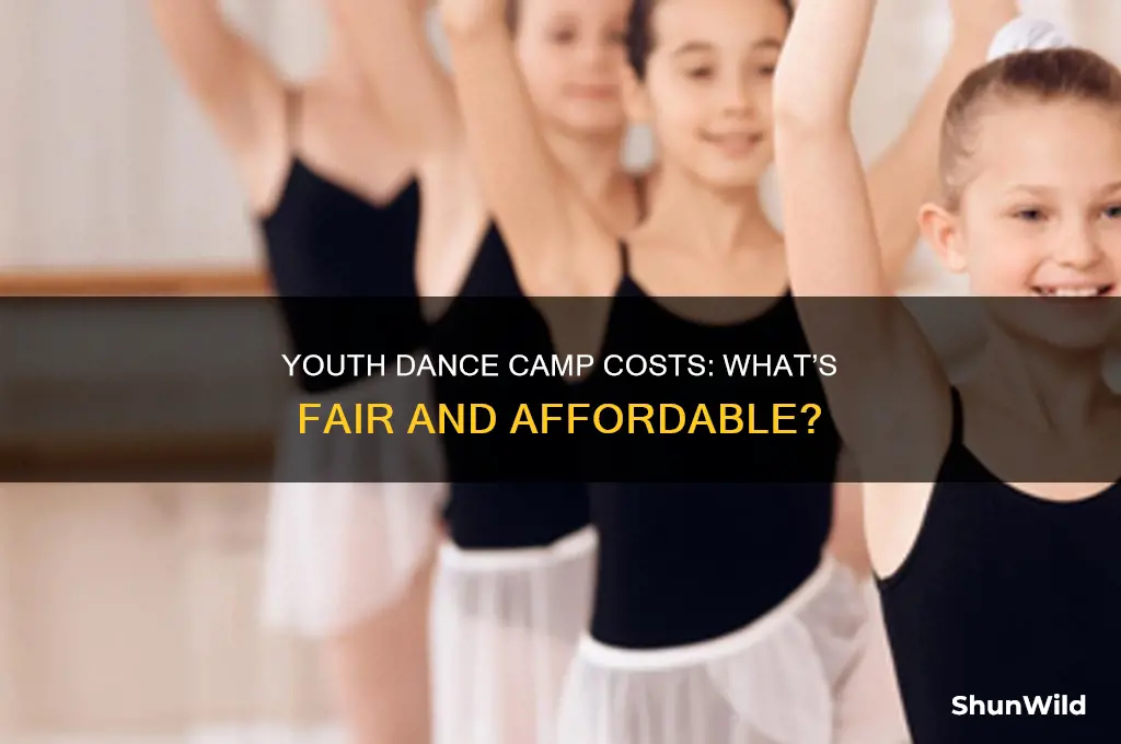 how much should a youth dance camp cost