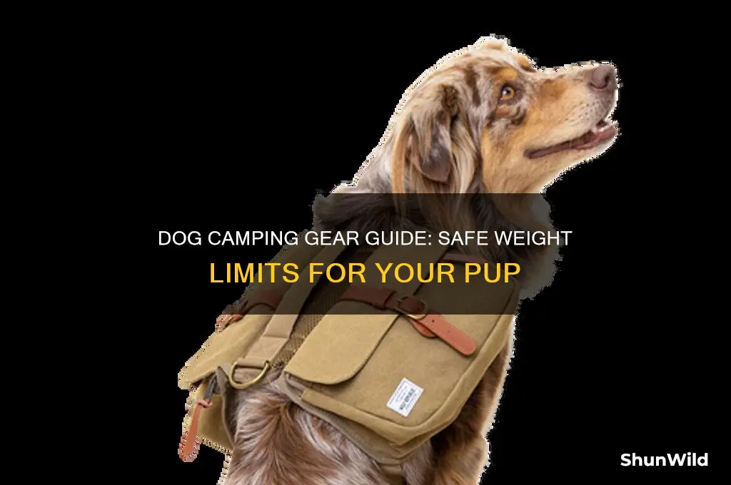how much should dogs carry camping